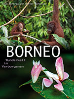 BORNEO