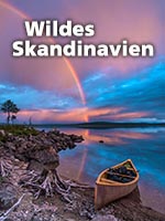 WILDES SKANDINAVIEN
