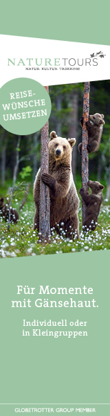 Nature Tours Bären