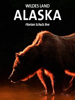 ALASKA - WILDES LAND