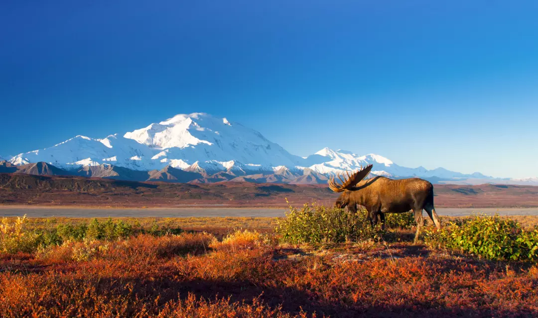 ALASKA - WILDES LAND