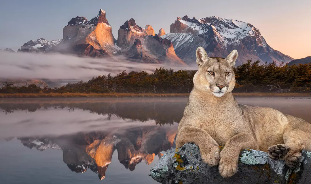 PATAGONIEN