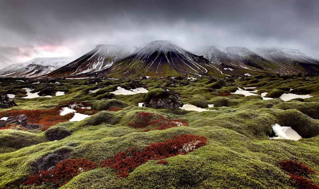 WUNDERWERK NATUR