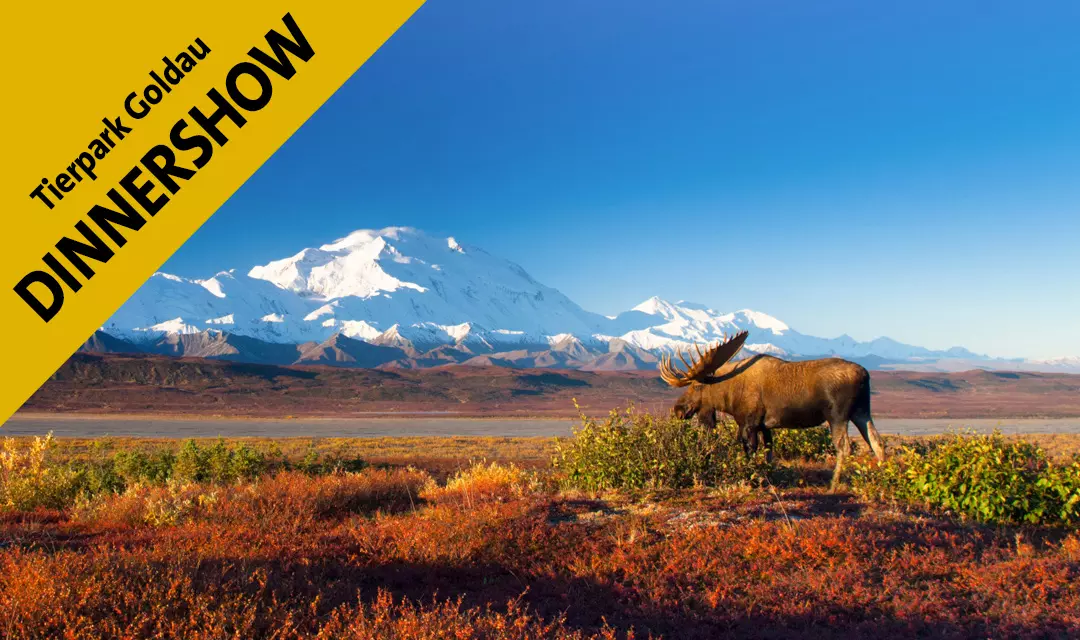 ALASKA - WILDES LAND