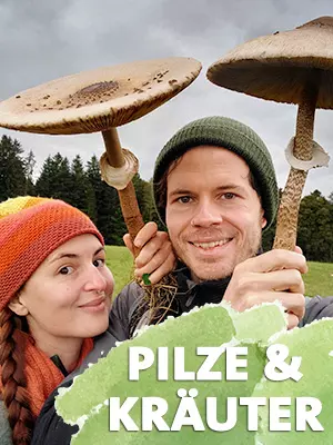 PILZE & KRÄUTER