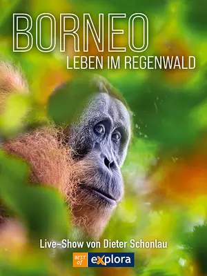 BORNEO